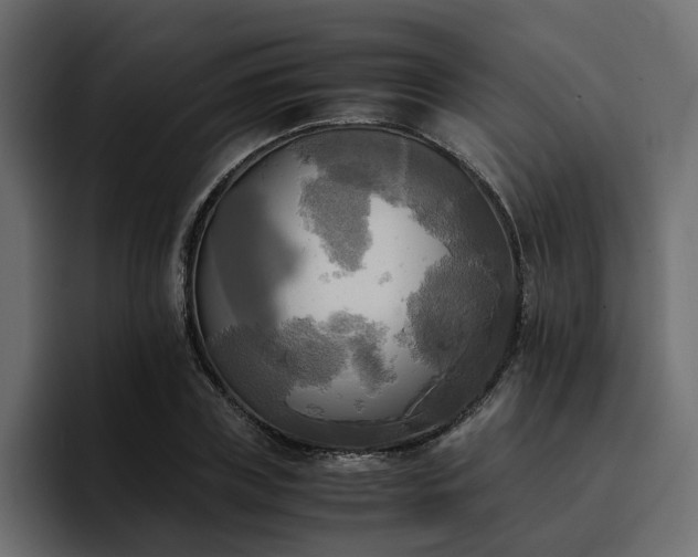 X0000095120835200712141134