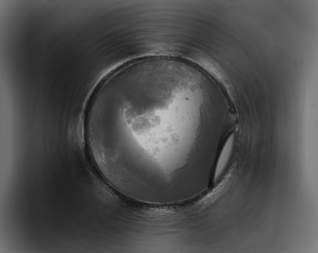 X0000095120838200712141134