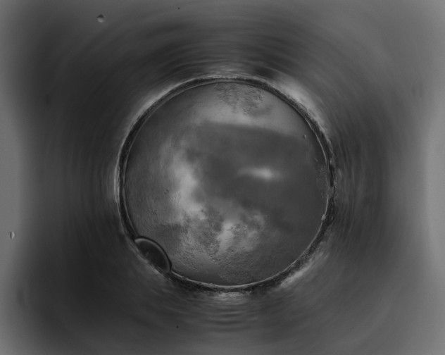 X0000095120839200712141134