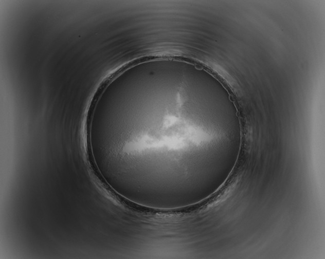 X0000095120840200712141134