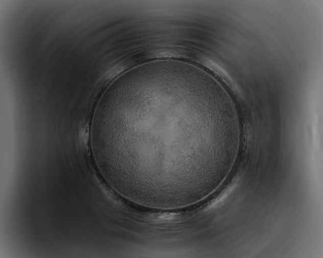 X0000095120841200712141134