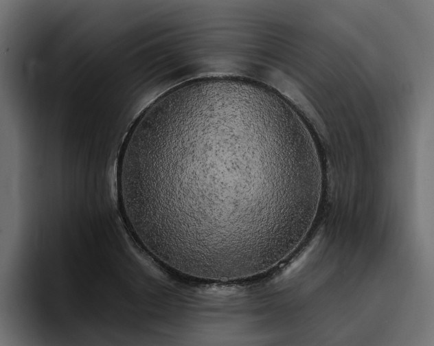 X0000095120842200712141134