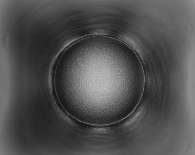 X0000095120843200712141134