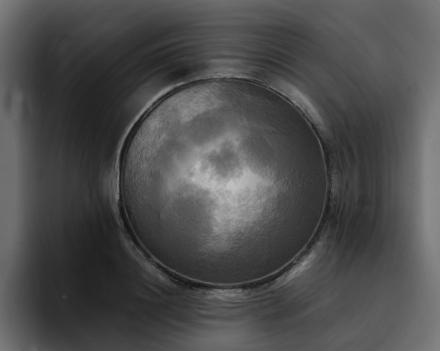 X0000095120844200712141134