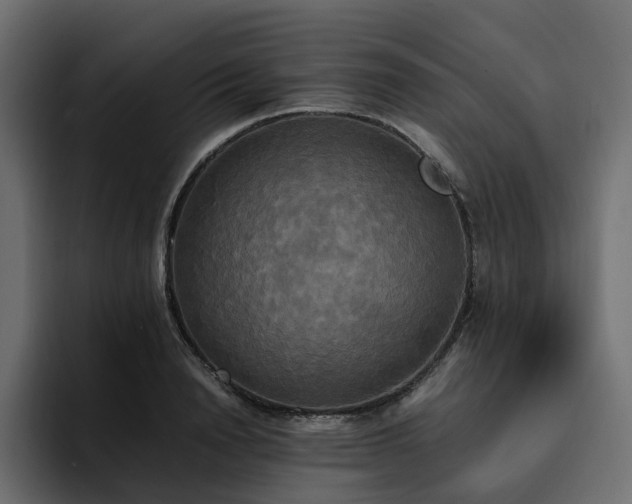 X0000095120846200712141134