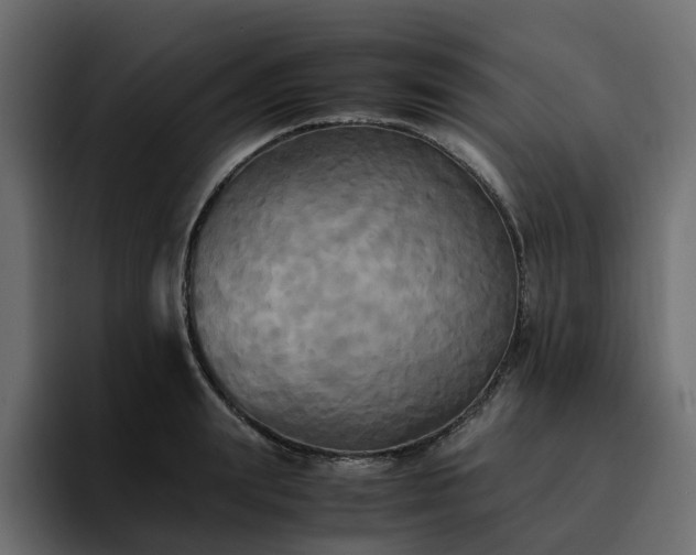 X0000095120847200712141134