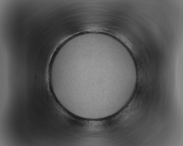 X0000095120848200712141134