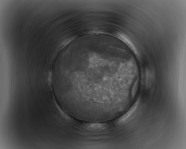 X0000095120849200712141134