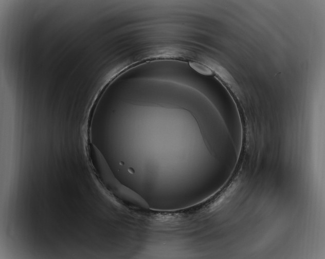 X0000095120850200712141134