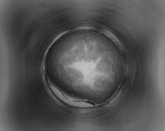 X0000095120852200712141134