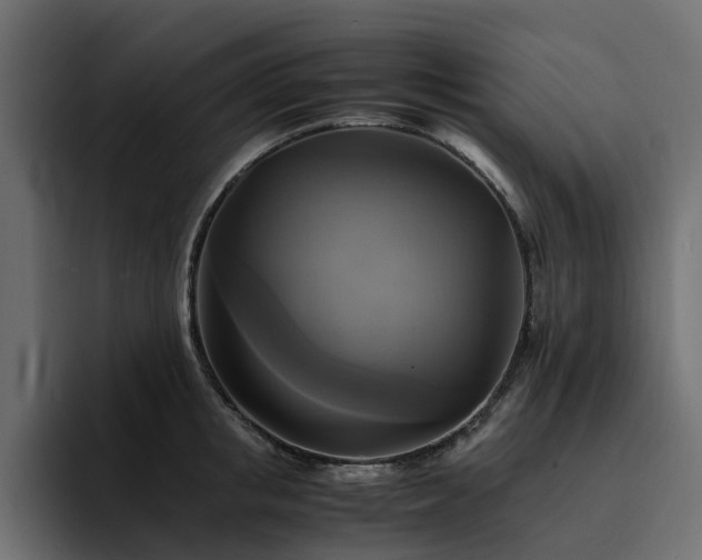 X0000095120853200712141134