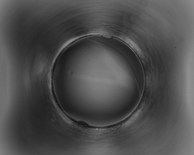 X0000095120854200712141134