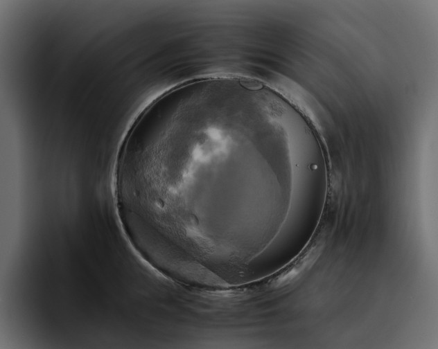 X0000095120855200712141134