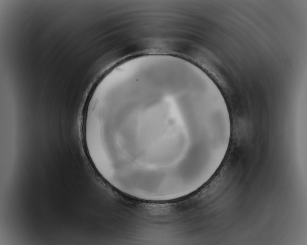 X0000095120856200712141134