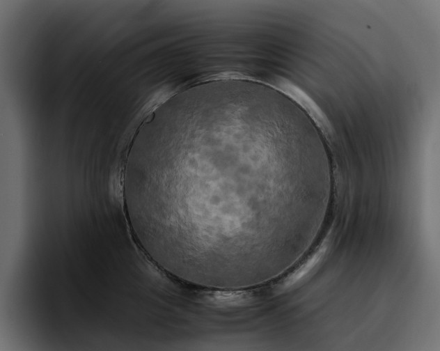 X0000095120857200712141135