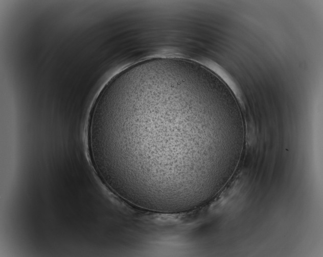 X0000095120861200712141135