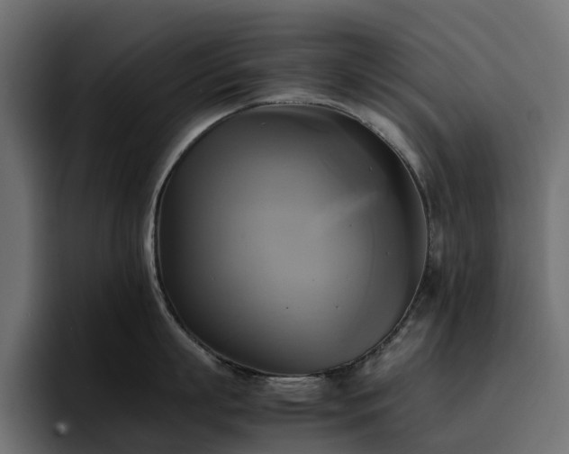 X0000095120863200712141135