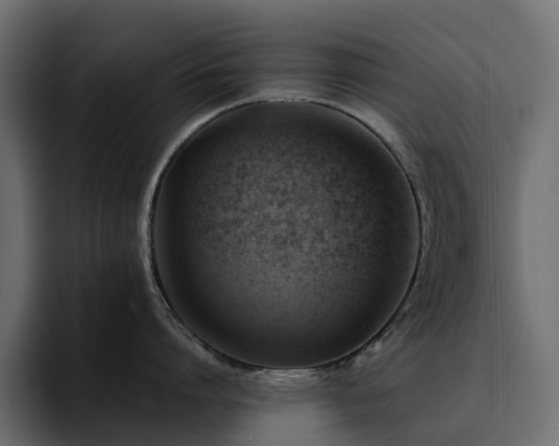 X0000095120864200712141135