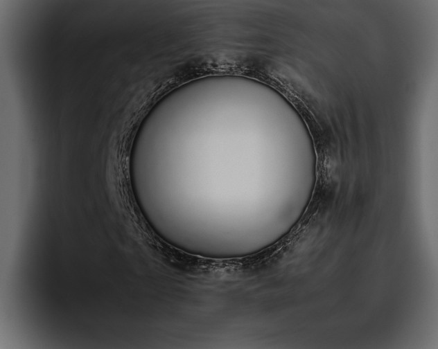 X0000095120865200712141134