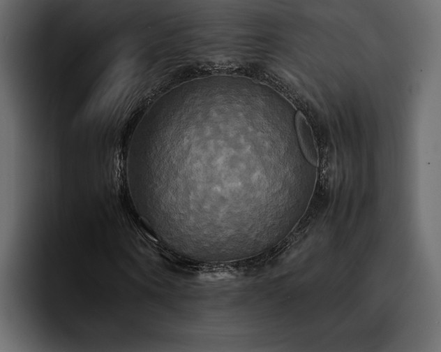 X0000095120866200712141134