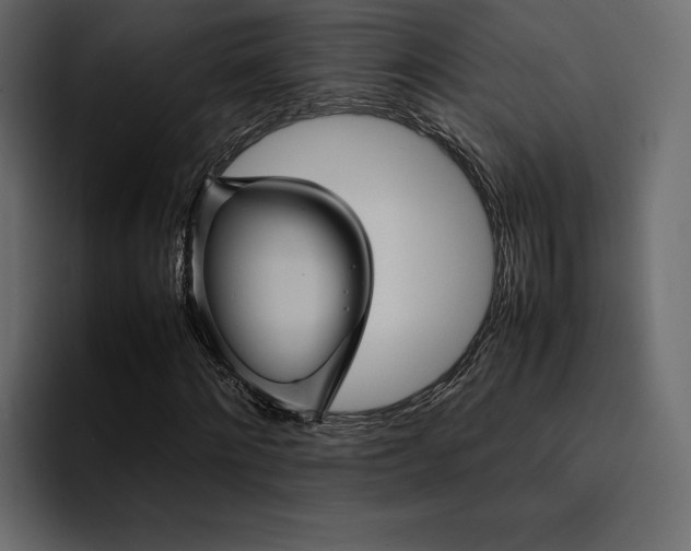 X0000095120868200712141134