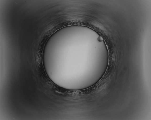 X0000095120869200712141134