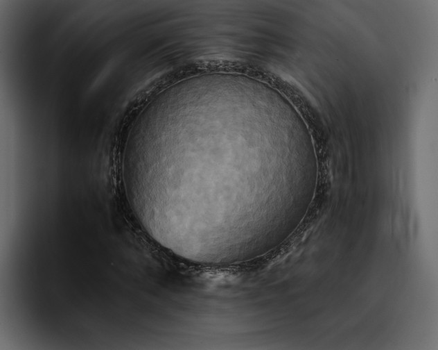 X0000095120870200712141134