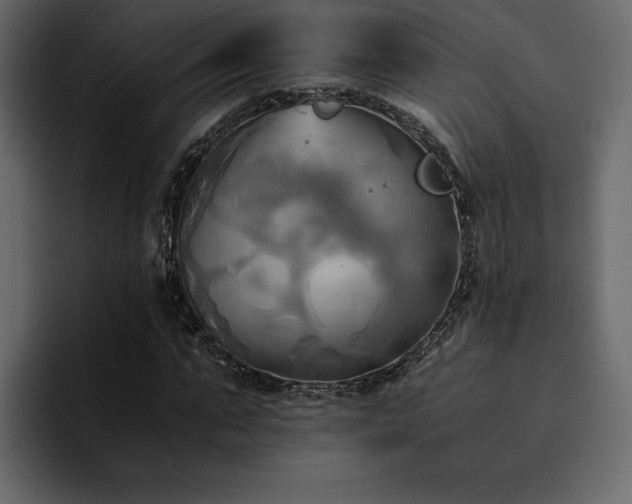 X0000095120871200712141134