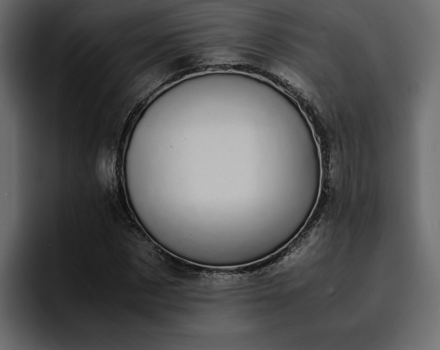 X0000095120873200712141134