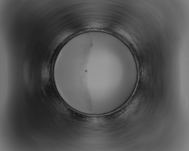 X0000095120874200712141134