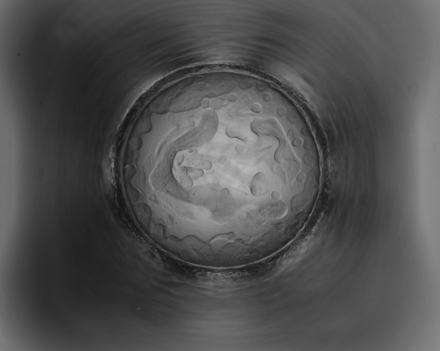 X0000095120875200712141134