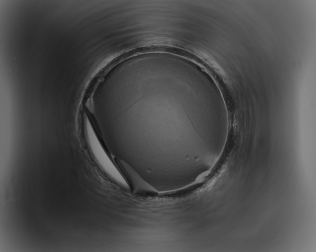 X0000095120877200712141134