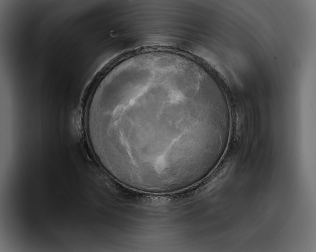 X0000095120878200712141134