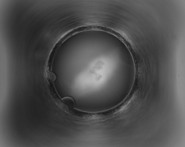 X0000095120879200712141134