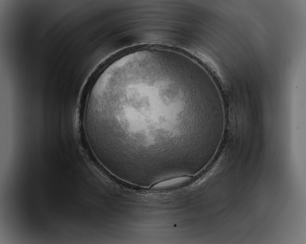 X0000095120880200712141134