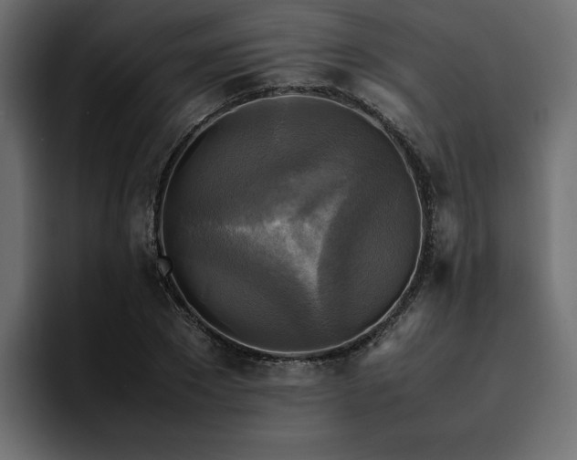 X0000095120881200712141134