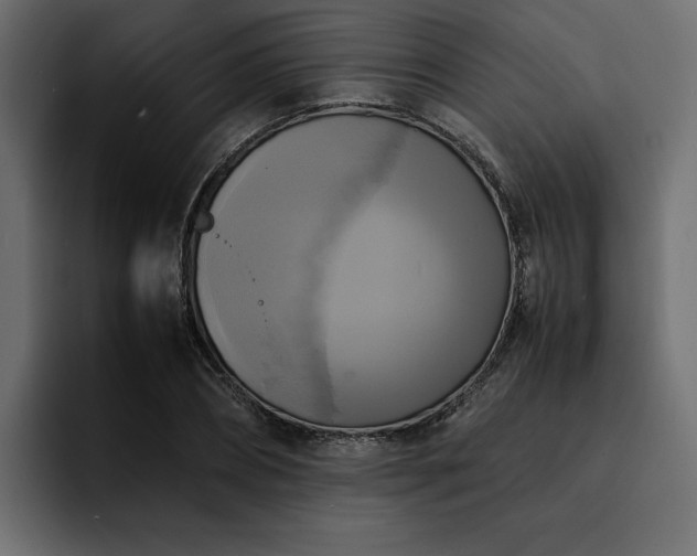 X0000095120882200712141134