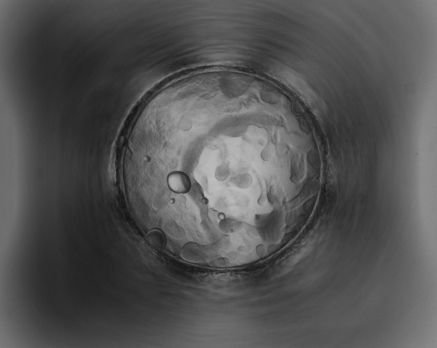 X0000095120883200712141134