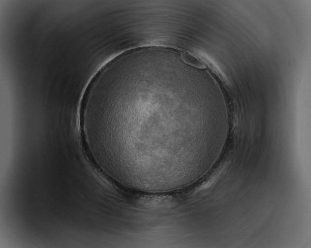 X0000095120884200712141134