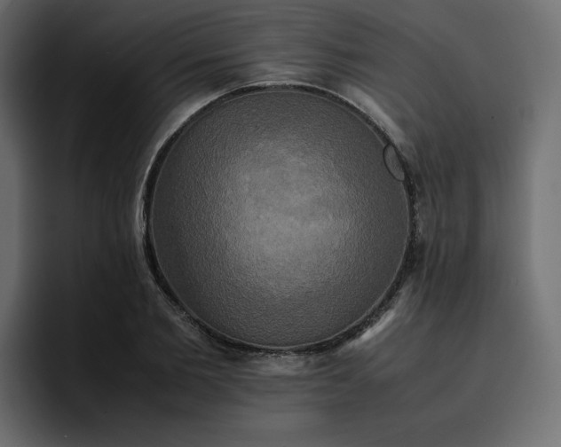 X0000095120885200712141134