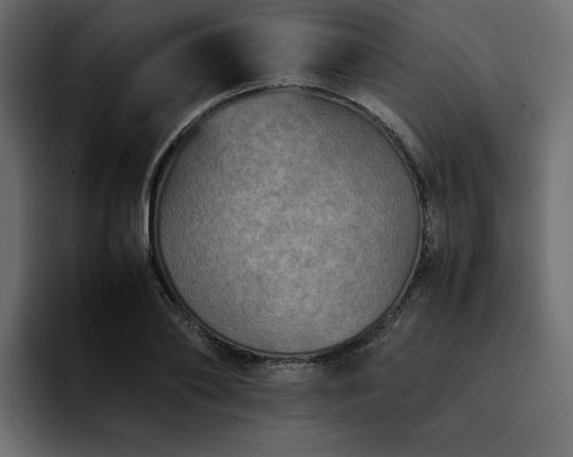 X0000095120886200712141134