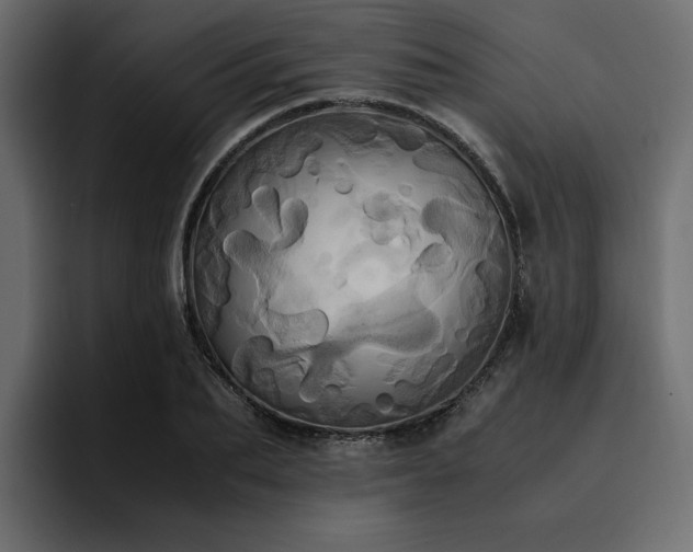 X0000095120887200712141134