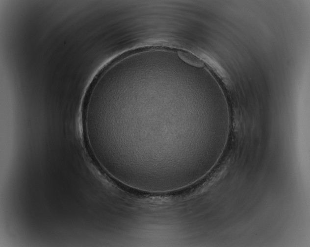 X0000095120888200712141134