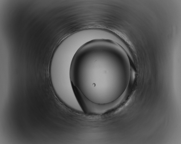 X0000095120889200712141134