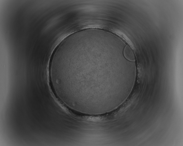 X0000095120890200712141134