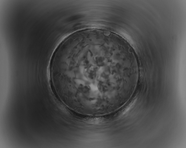 X0000095120891200712141134