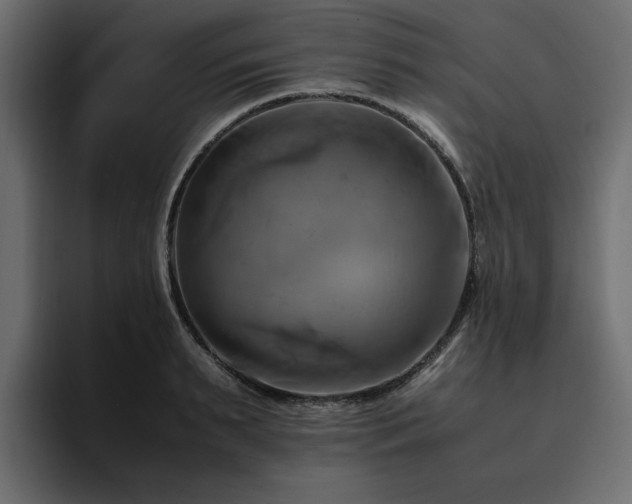 X0000095120895200712141134