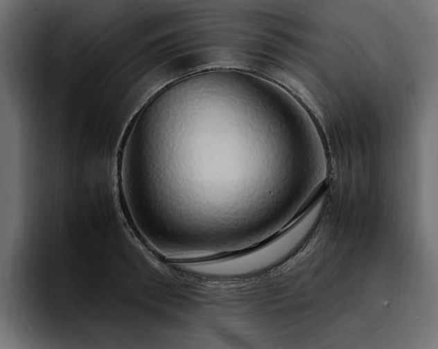 X0000095120898200712141134