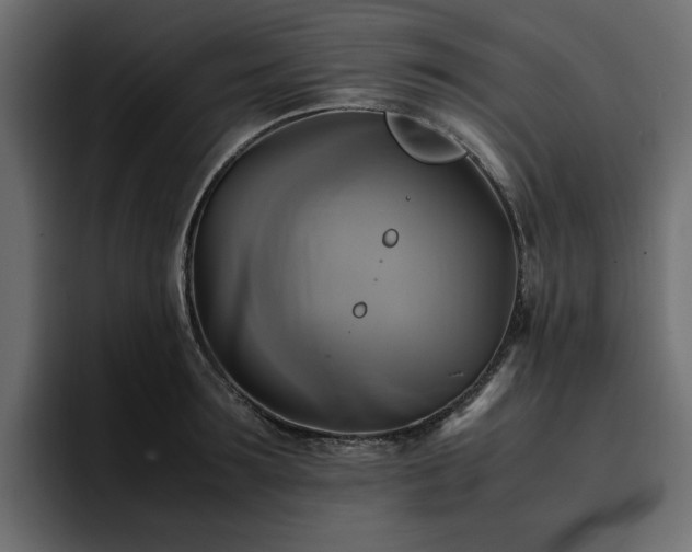 X0000095120899200712141134