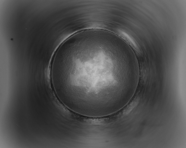 X0000095120900200712141134